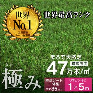 人工芝 芝生 人工芝生 グリーン サッカー 最安値に挑戦 ドッグラン サッカー 超高密度47万本 防草シート一体型 耐候性10年 芝丈35ｍｍ 固定ピン付 1×5ｍロール｜luckykagu