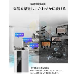 正規品 除湿機 衣類乾燥 ハイブリッド式 空気...の詳細画像2