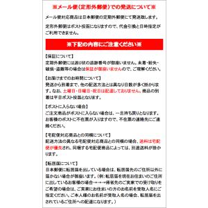サーモス FHT-1002F ※1.0L用 ハ...の詳細画像1