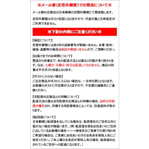サーモス FJJ ※0.8L用 ハンディポーチ...の詳細画像3