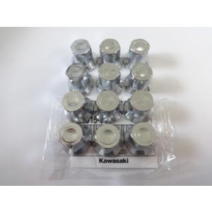 Z1 KZ1000 MKII J系用 APE シリンダーヘッドナット CHN1000K (1)” R6