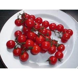 トマト 38065219fula.jpg