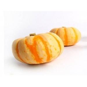 信州産ミニミニかぼちゃ六個