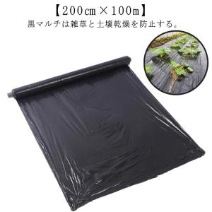 MS1101【完全未使用】防草シート 小泉製麻 楽ちんシート 園芸 農業 家庭菜園 ビニールハウス 100m 黒×黒 ビニールハウス 雑草対策 農業用ビニール 雑草防止シート マルチ 厚さ