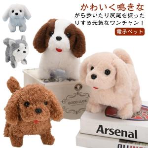 元気な仔犬 トイプードルのショコラちゃん おしゃべり 歩く 動く