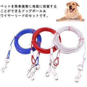 スノーピーク　ドックアンカー　新品未使用品 SNP0116A0311_x_a099.jpg