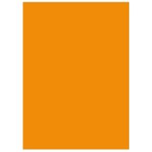 北越製紙 カラーペーパー/リサイクルコピー用紙 〔A5 500枚×10冊〕 日本製 オレンジ(代引不...