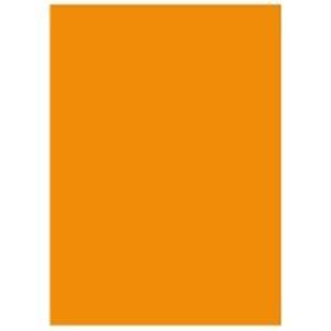北越製紙 カラーペーパー/リサイクルコピー用紙 〔B4 500枚×5冊〕 日本製 オレンジ(代引不可)｜luckytail