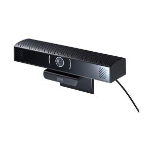 サンワサプライ スピーカー内蔵Webカメラ ブラック CMS-V48BKN 1台(代引不可)