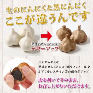 黒にんにく 青森県産 熟成 2袋 約2か月分 ...の詳細画像4