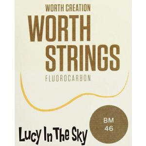 Worth Strings B8 ウクレレ弦 63 インチ ブラウン8弦 フロロカーボン