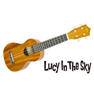 Fender ( フェンダー ) ソプラノウクレレ Venice Soprano Uke SHP WN 