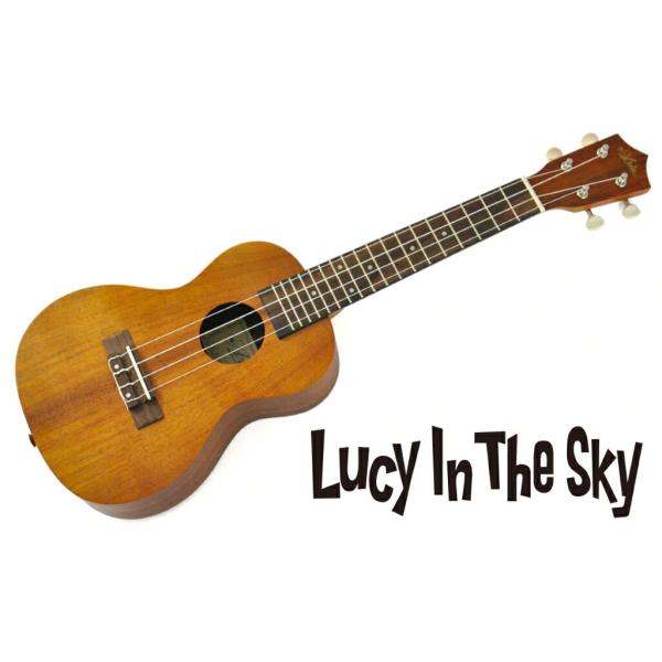 ARIA ( アリア ) コンサートウクレレ ACU-1K