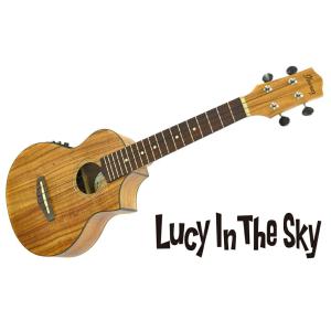 Ibanez ( アイバニーズ ) コンサートウクレレ UEW12-ACE｜lucyinthesky