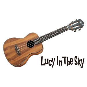 ANUENUE MINIC MAHOGANY ウクレレ Amazon.co.jp: aNueNue aNN-MCM Mini Mahogany ミ二コンサート