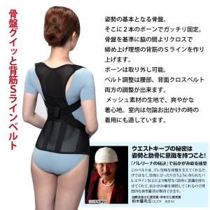 猫背矯正ベルト 姿勢矯正 背筋矯正ベルト 背中...の詳細画像1