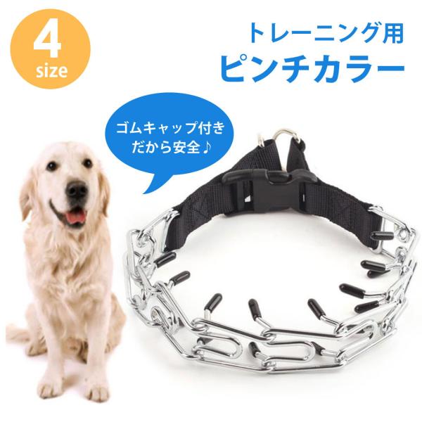 ハームスプレンガー しつけ用首輪 引っ張り防止 スパイクチェーン バックル トレーニング 歩行訓練 ...