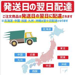 韓国コスメ メイクブラシ フィリミリ メイクブ...の詳細画像1
