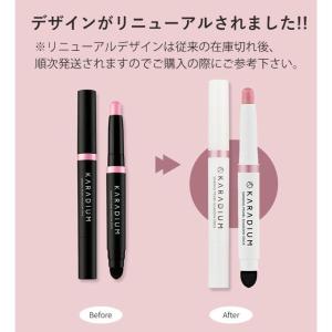 韓国コスメ アイシャドウ KARADIUM カ...の詳細画像4