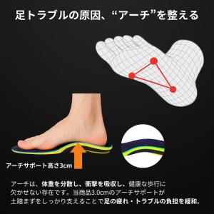 Link-N インソール 理学療法医師監修 ア...の詳細画像3
