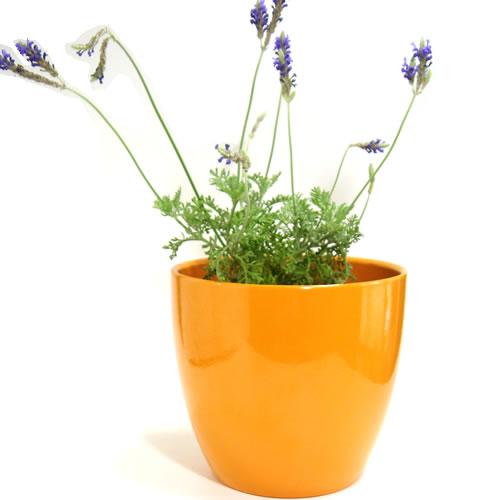 5号用　ドイツ　シューリッヒ(scheurich)社 鉢カバー(プラントカバー)　マンダリン　（観葉...