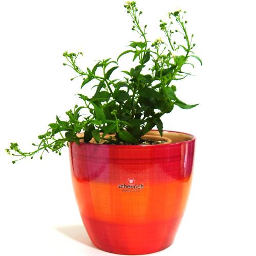 4〜5号用　ドイツ　シューリッヒ(scheurich)社 鉢カバー(プラントカバー)　パッチワーク　...