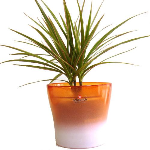 ガラス製　4号用　ドイツ　シューリッヒ(scheurich)社 鉢カバー(プラントカバー)　オペイク...