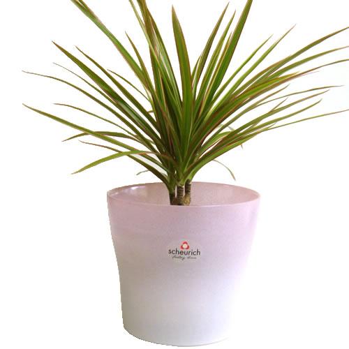 ガラス製　4号用　ドイツ　シューリッヒ(scheurich)社 鉢カバー(プラントカバー)　オペイク...