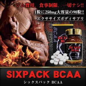 SIXPACK BCAA シックスパック 筋肉増加 筋トレ ...
