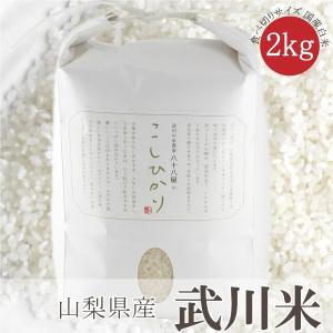 コシヒカリ 山梨県産 武川米 10kg 白米 通販 南アルプスの清流水で育っ