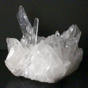 縁起物　スワロフスキー 獅子舞 約4cm SWAROVSKI（スワロフスキー） 『獅子舞』 5302563 : スワロフスキー