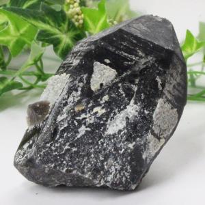 43.5Kg 黒水晶（モリオン 原石 本物 ）金蟾 同梱不可(特大品