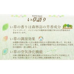 い草 寝ござ 95×191cm (上敷1畳込)...の詳細画像5