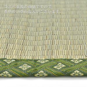 い草 寝ござ 80×170cm (志摩) 1畳...の詳細画像4