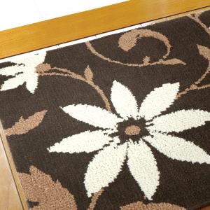 玄関マット 屋内 45×75cm (レウィシア...の詳細画像1