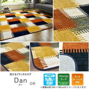 ラグ カーペット 洗える 2畳 180×180...の詳細画像4