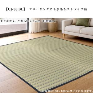 い草ラグ 3畳 180×240cm ドット柄 ...の詳細画像5