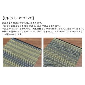 い草 寝ござ 88×180cm 1畳 寝茣蓙 ...の詳細画像4