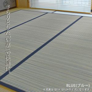 い草ラグ 2畳 180×180cm (東山)ス...の詳細画像1