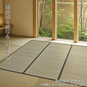 い草ラグ 2畳 180×180cm (東山)ス...の詳細画像3
