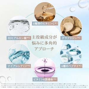 LDK A評価 公式 ドクタールルルン リチュ...の詳細画像4