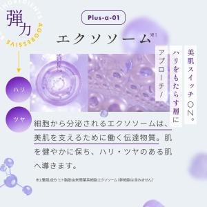 28枚入り販売再開 ベスコス受賞 公式 ルルル...の詳細画像5