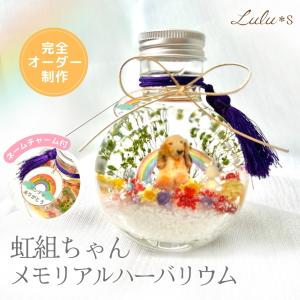 虹の彼方 虹組ちゃん メモリアル ハーバリウム ...の商品画像