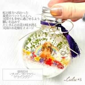 虹の彼方 虹組ちゃん メモリアル ハーバリウム...の詳細画像1