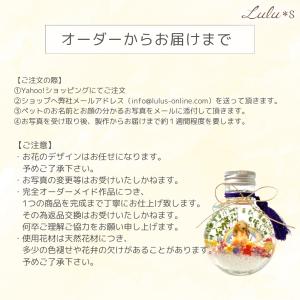 虹の彼方 虹組ちゃん メモリアル ハーバリウム...の詳細画像4