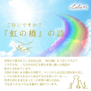 虹の彼方 虹組ちゃん メモリアル ハーバリウム...の詳細画像2