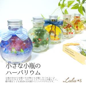 シマエナガ 金魚 てんとう虫 ハーバリウム 雪...の詳細画像1