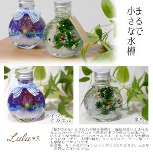シマエナガ 金魚 てんとう虫 ハーバリウム 雪...の詳細画像3