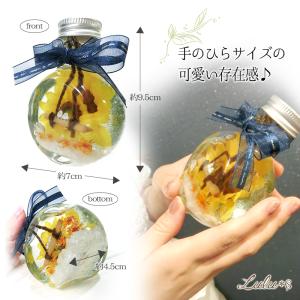 シマエナガ 金魚 てんとう虫 ハーバリウム 雪...の詳細画像5