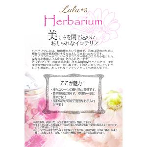雪のシマエナガハーバリウム Lulus-0577の詳細画像4